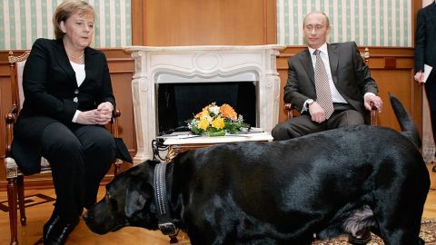 Germany's Angela Merkel watches uneasily as Russian President Vladimir Putin's dog approaches in 2007.