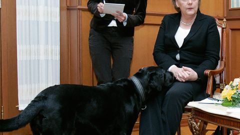 Merkel looks uncomfortable as Putin's Labrador Koni comes near her in Sochi, Russia, in 2007.