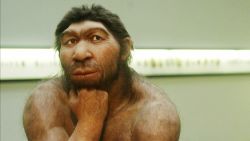 neanderthals allergies