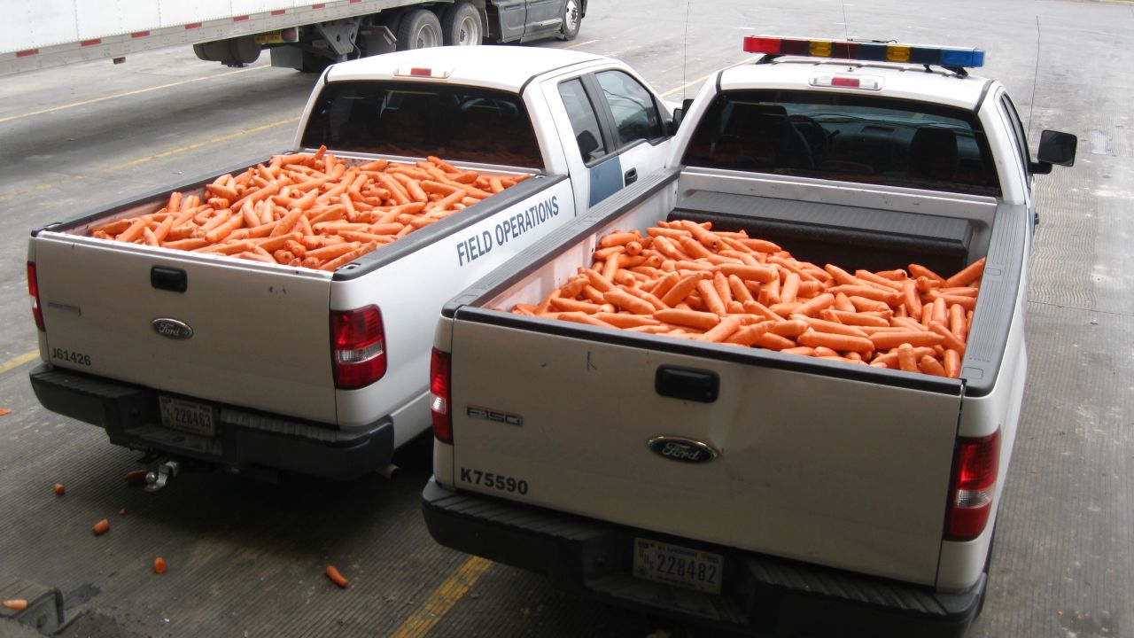 Seized marijuana in U.S. law enforcement trucks.