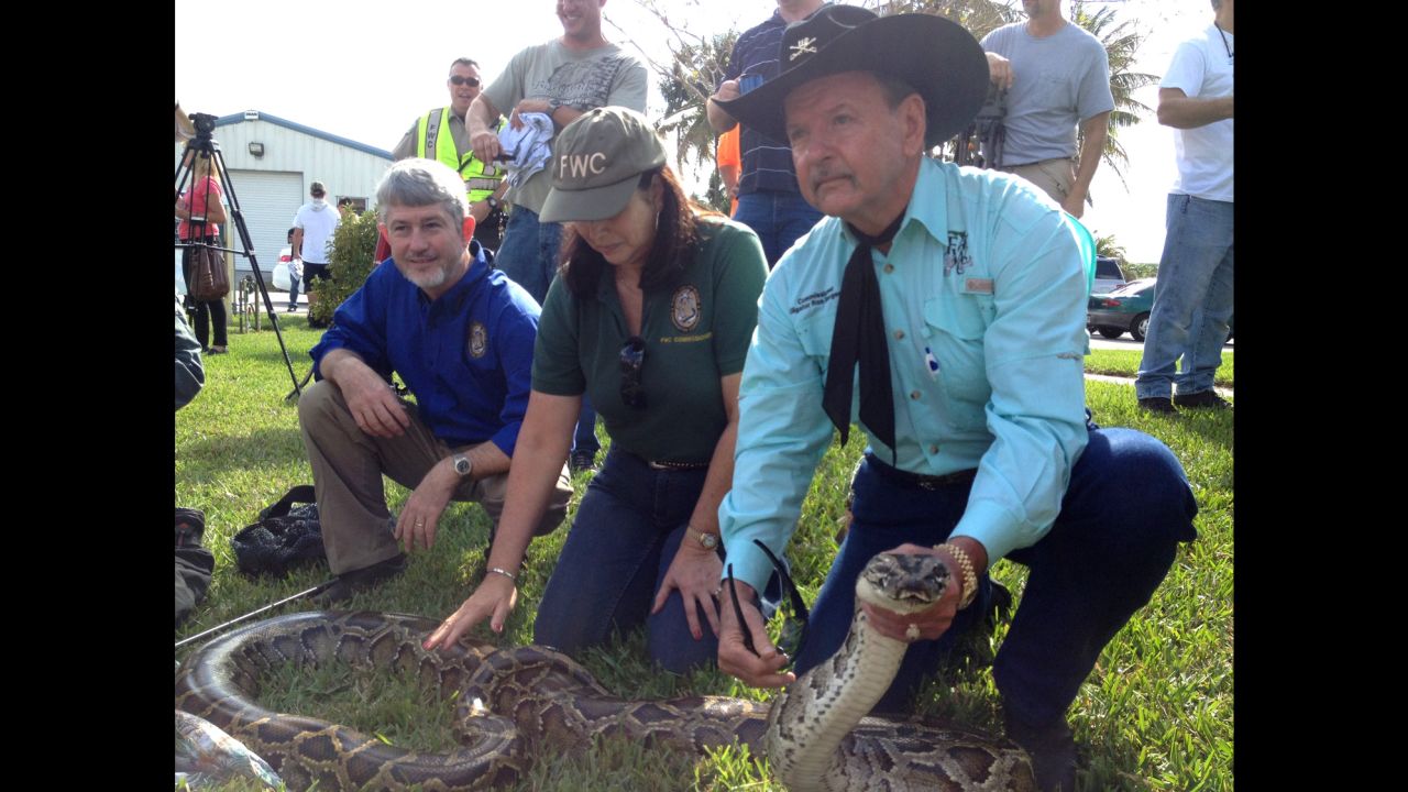 Florida Dept. Fish & Wildlife officials at the Python Challenge in 2013