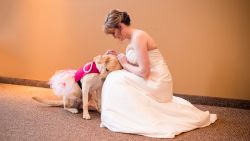 04.service-dog-bride