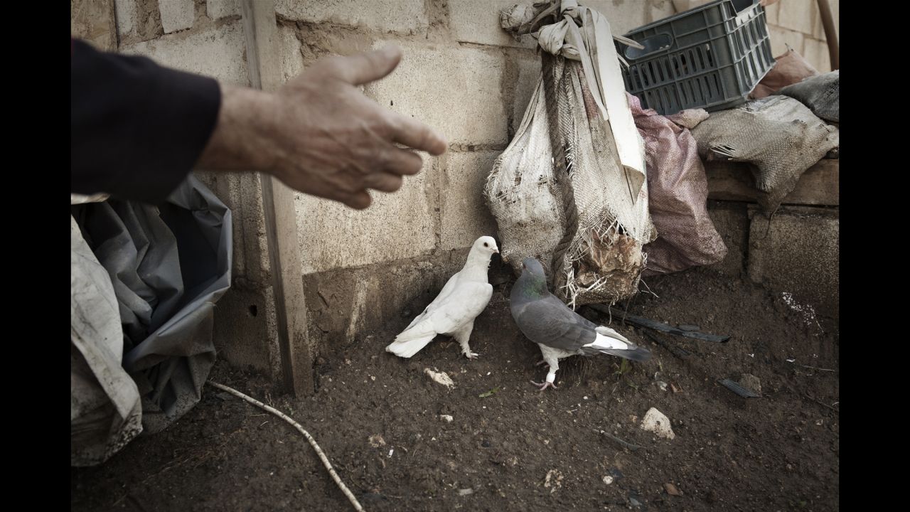 Birds outside a refugee camp in the Bekaa Valley.