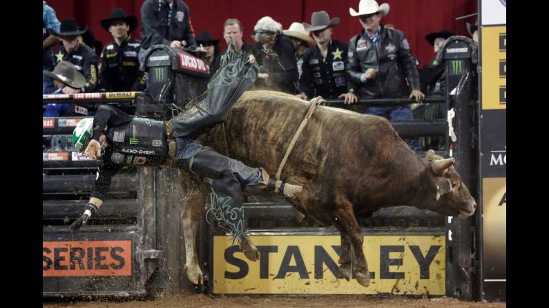 Gage Gay falls from Savage Jacket during a bull-riding event in New York on Friday, January 15.