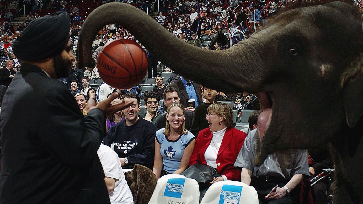 Toronto Raptors superfan Nav Bhatia receives the game ball from Piccolo the Elephant as part of the annual Baisakhi Day celebration of the Sikh New Year hosted by the team at the Air Canada Centre.