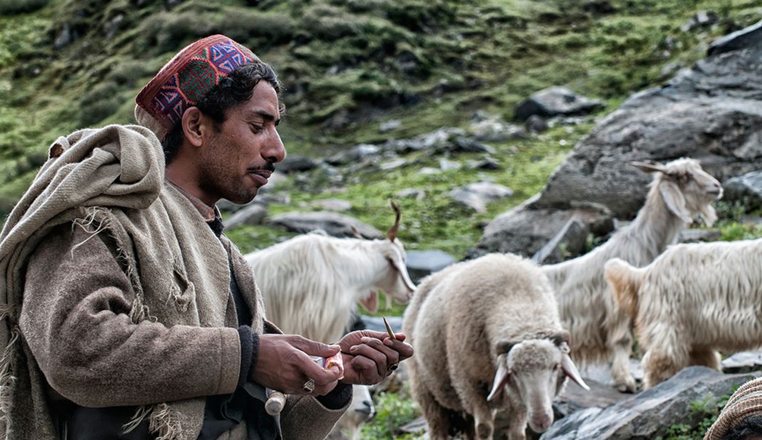 Sanju, a Gaddi shepherd we follow from Bara Bangal to the outskirts of Dharamshala, gives his herd a break after crossing the Thamsar Pass.<br />