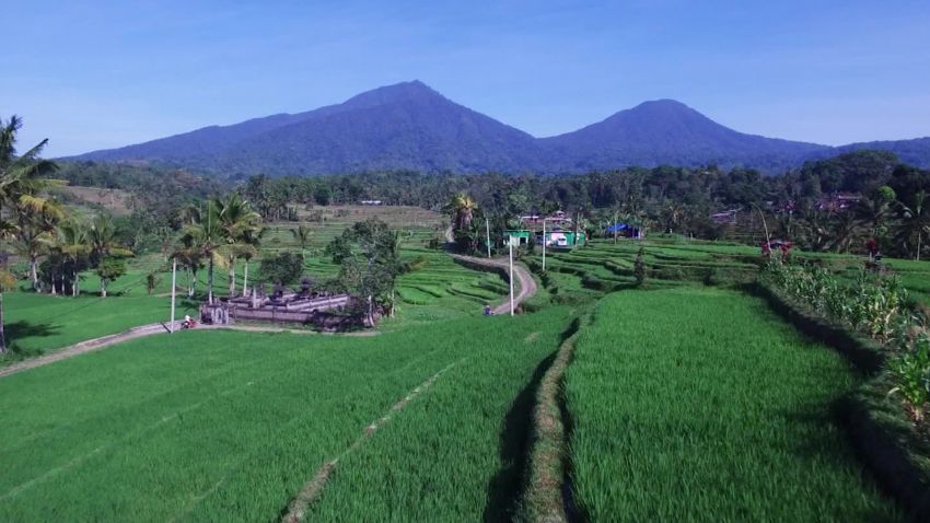 60 second vacations bali rice fields travel _00001313.jpg