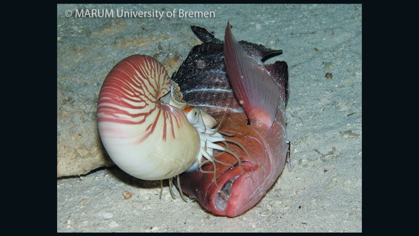 University of Bremen deep sea expedition