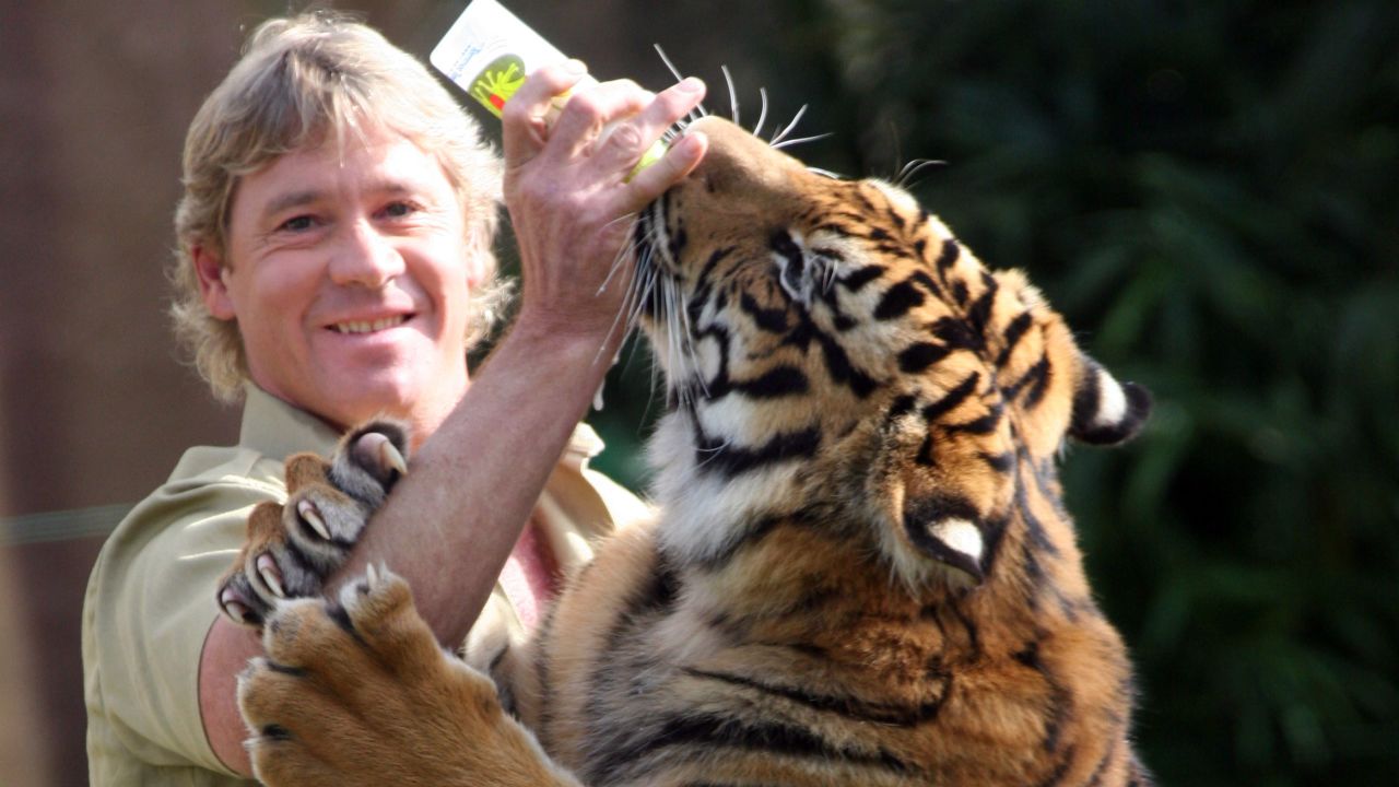 Steve Irwin tiger Australia zoo
