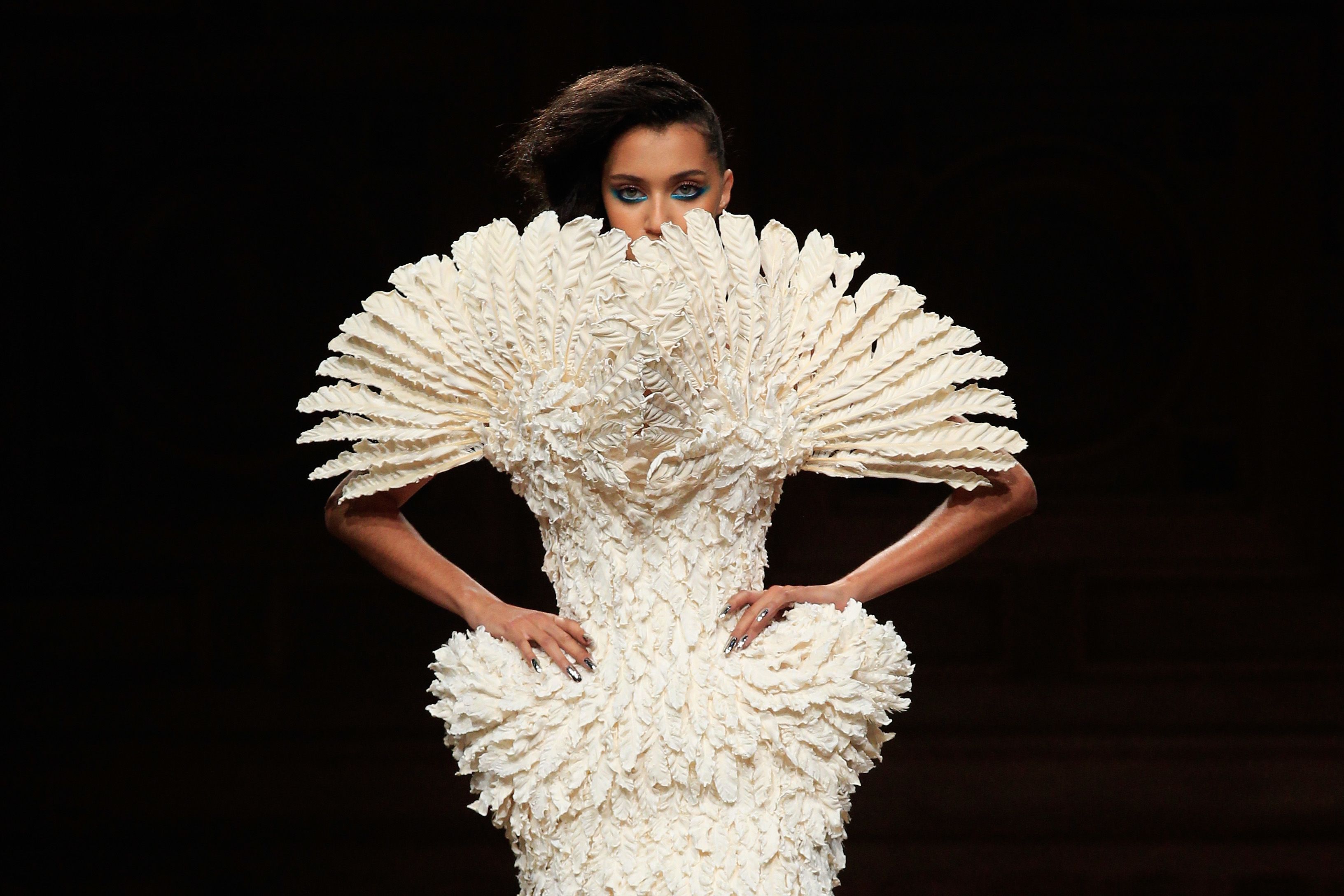 French Folk Costume or Next Season's Haute Couture?