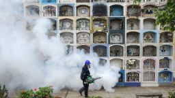 A specialist fumigates the Nueva Esperanza graveyard in the outskirts of Lima on January 15, 2016. Health officials fumigated the largest cementery in Peru and second largest in the world to prevent Chikunguya and Zika virus, which affect several South American countries. AFP PHOTO/ERNESTO BENAVIDES / AFP / ERNESTO BENAVIDES        (Photo credit should read ERNESTO BENAVIDES/AFP/Getty Images)