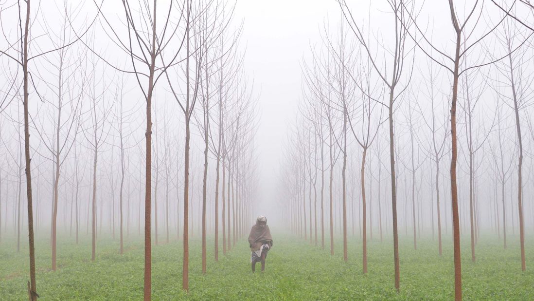 A farmer walks through his fields on the outskirts of Amritsar. Fog is common in the region in winter, with average January low temperatures reaching 5 degrees Celsius (41 degrees Fahrenheit). 