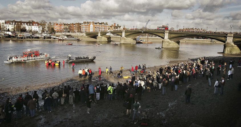 In January 2006 a northern bottlenose whale swam up the Thames, and got stranded in central London, bringing thousands of people on the banks. The whale died during a rescue attempt.
