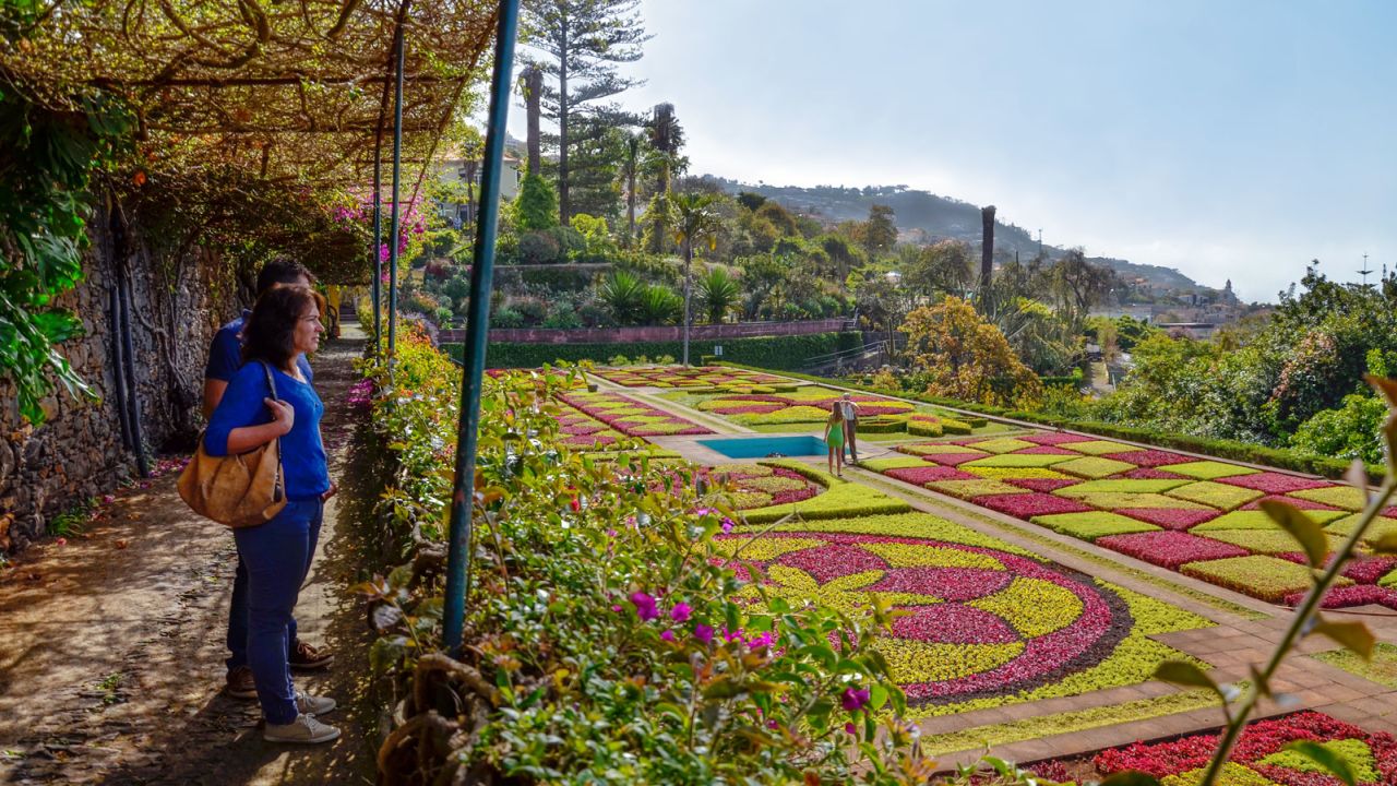 Through the flowers: Jardim Botanico da Madeira.