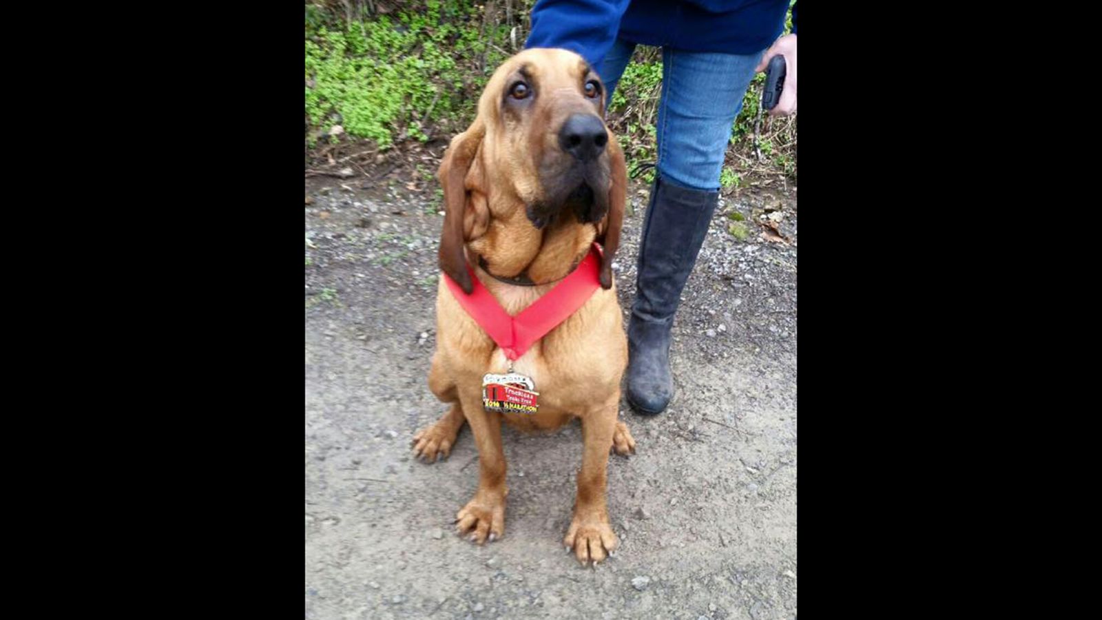 Kino, sevgi, jinsiy aloqa, Kama Sutra Qazuvchida jinsiy aloqa