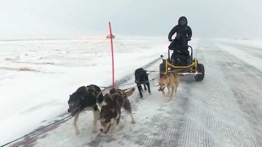 norway arctic circle dog sledding damon backstory lklv_00001810.jpg