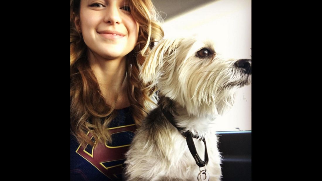 "Good morning from the set of #supergirl from me & the resident transpo pup Duke," <a href="https://www.instagram.com/p/BAz_zFwJVxk/" target="_blank" target="_blank">actress Melissa Benoist said</a> on Thursday, January 21.