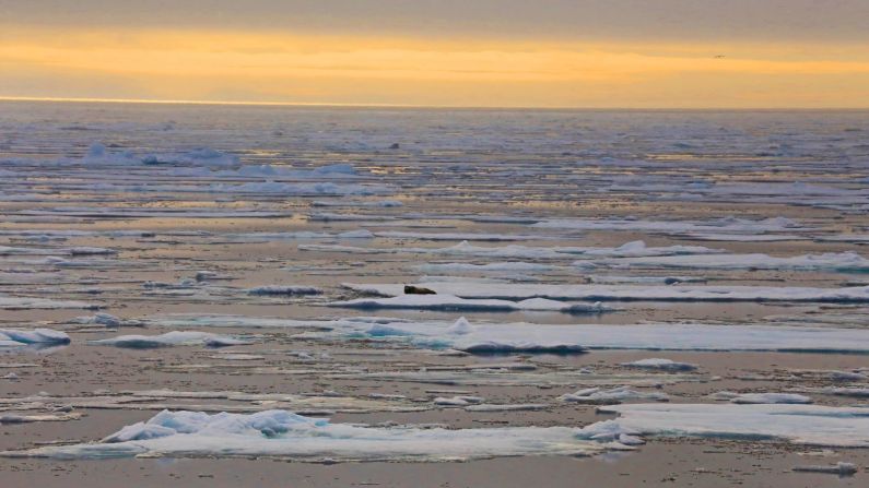 In 2015, the multi-year ice has receded far north, allowing us to press deeper into the Arctic than expected.