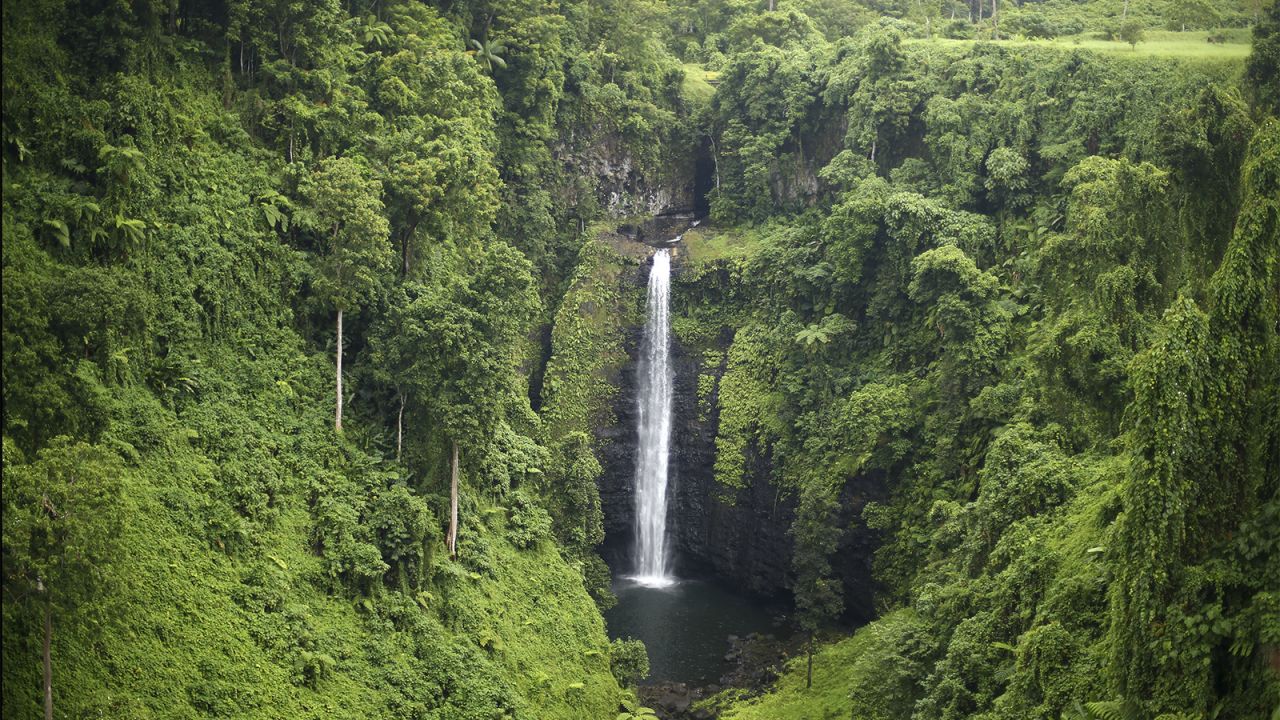 In the village of Lotofaga, Fuipisia Falls is 55 meters high.