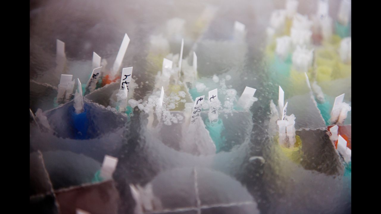 Donors are paid from $15 to $76 per "donation," and the vials can sell from $45 to $1,137, depending on potency and donor profiles, <a href="http://money.cnn.com/2015/10/21/smallbusiness/sperm-bank-shortage-cryos-denmark/" target="_blank">CNNMoney reported in September.</a>