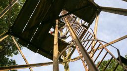 A researcher takes a break on Zika forest's landmark tower, built by Alexander Haddow who first identified Zika virus in 1947