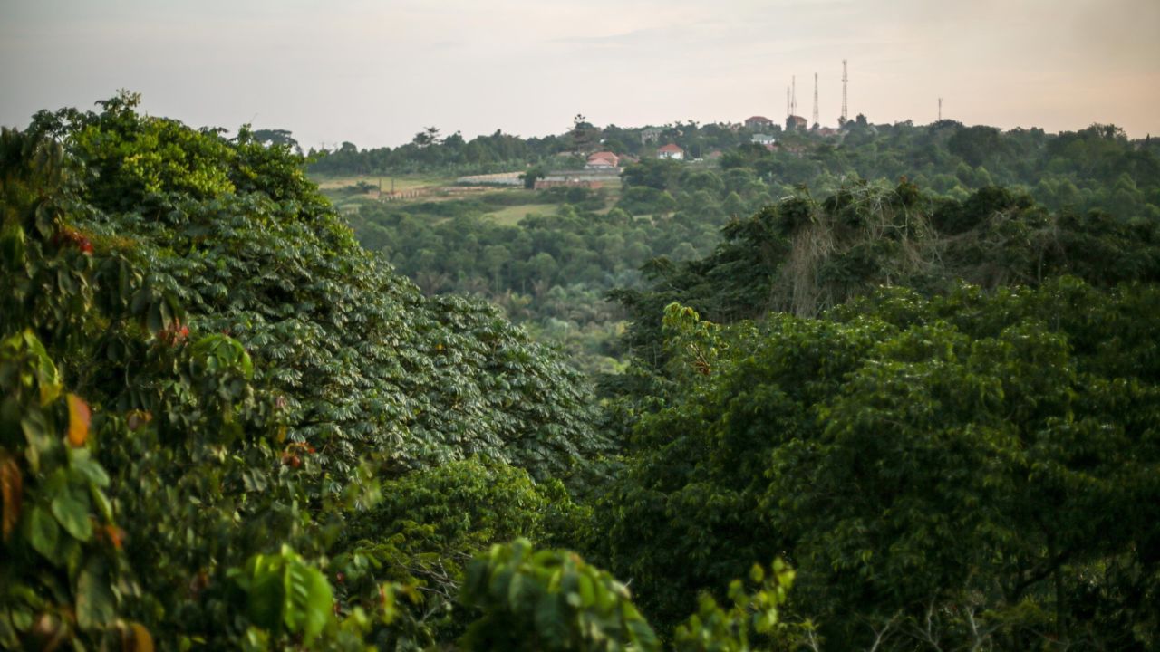 A climb to the top of the tower that Andrew Haddow's grandfather helped build more than a half-century ago reveals a view shows a once remote research outpost now entirely surrounded by Uganda's urban centers. Any new viruses discovered here will no longer be considered remote.