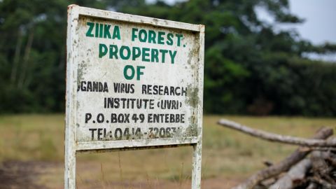 A well-worn sign is the only indication of the start of the Zika forest, Uganda's only preserve devoted entirely to science research.