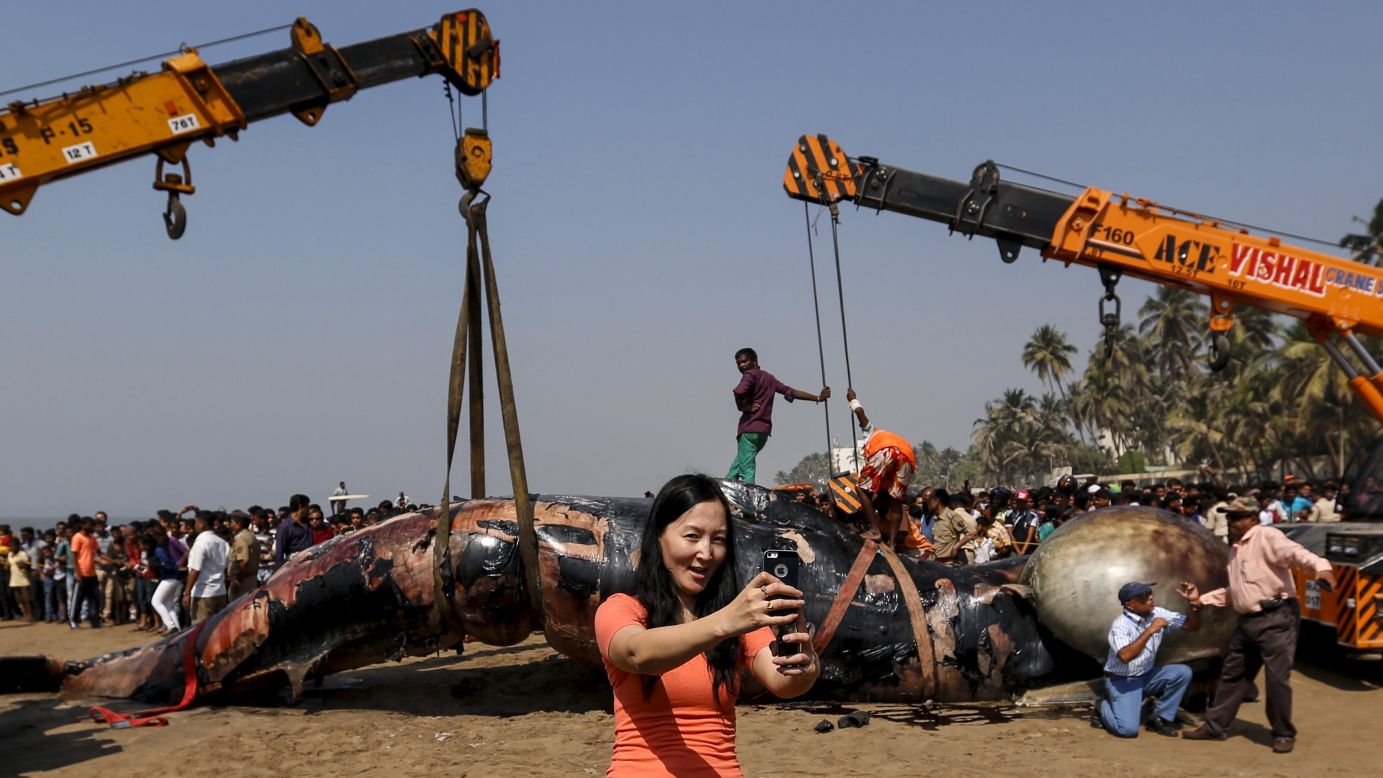 A tourist takes a selfie in Mumbai, India, as a dead whale's carcass is lifted away on Friday, January 29.