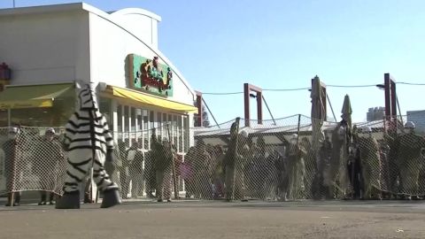 japan preparing for animal escapes at tokyo zoo _00001003.jpg