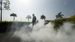 A health ministry worker fumigates the area where carnival celebrations will be held in Panama City on Tuesday, February 2. The Aedes aegypti mosquito carries the Zika virus, which has suspected links to birth defects in newborn children.