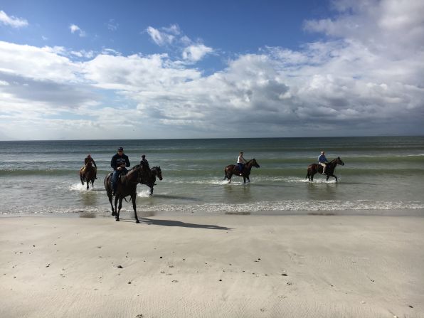 "It's just such a refreshing feeling for the horses. The cold water and the movement of the ocean takes down any inflammation, any infection," Snaith says. 