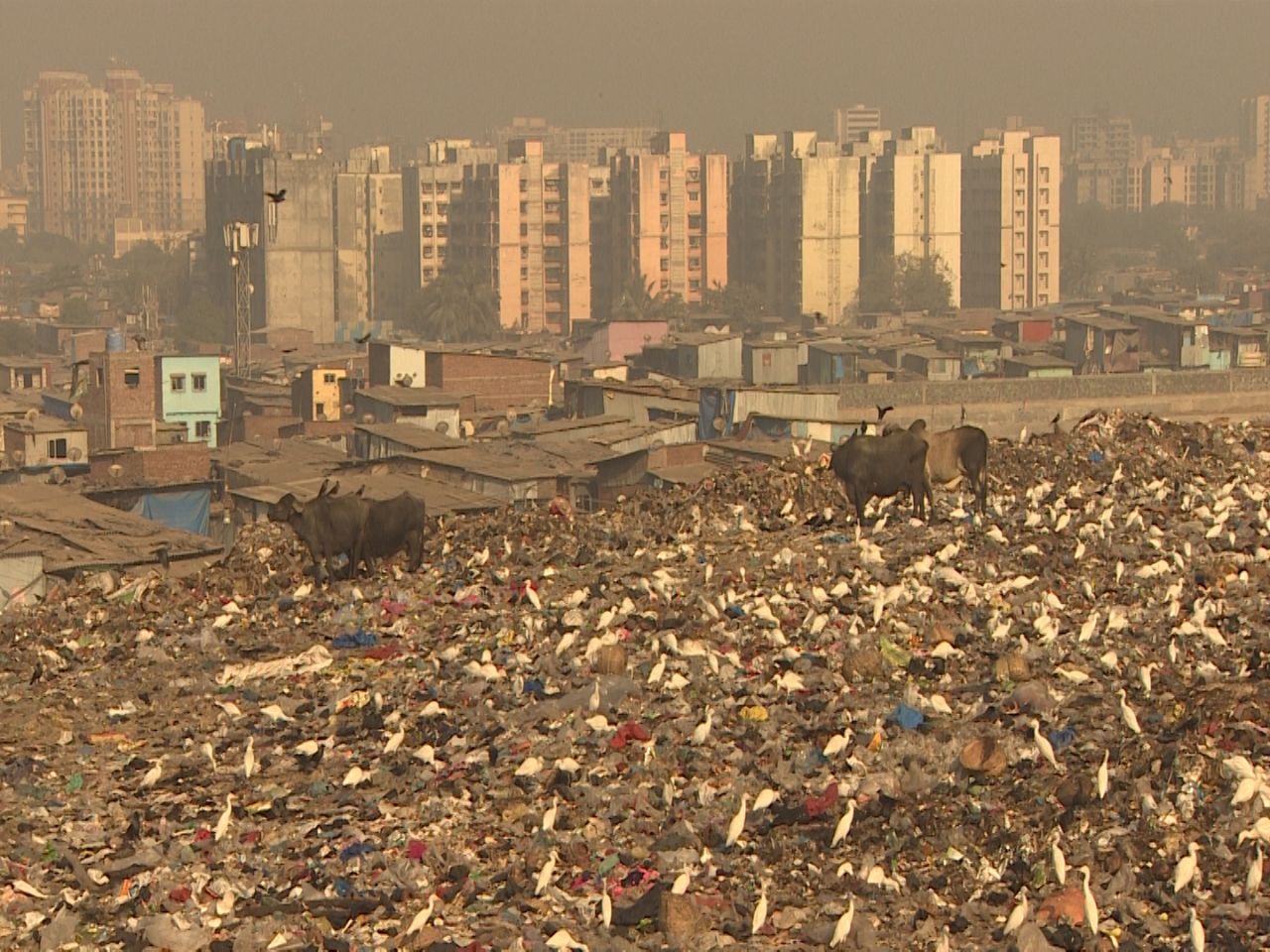 It stretches for 138 hectares and is the city's oldest trash dumping site. 