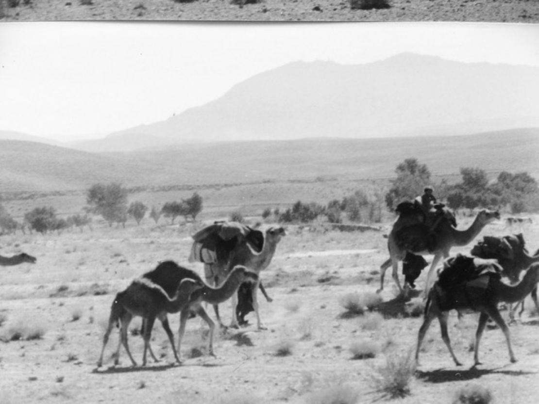 Mahanandia cycled through the deserts of Pakistan, Afghanistan and Iran.