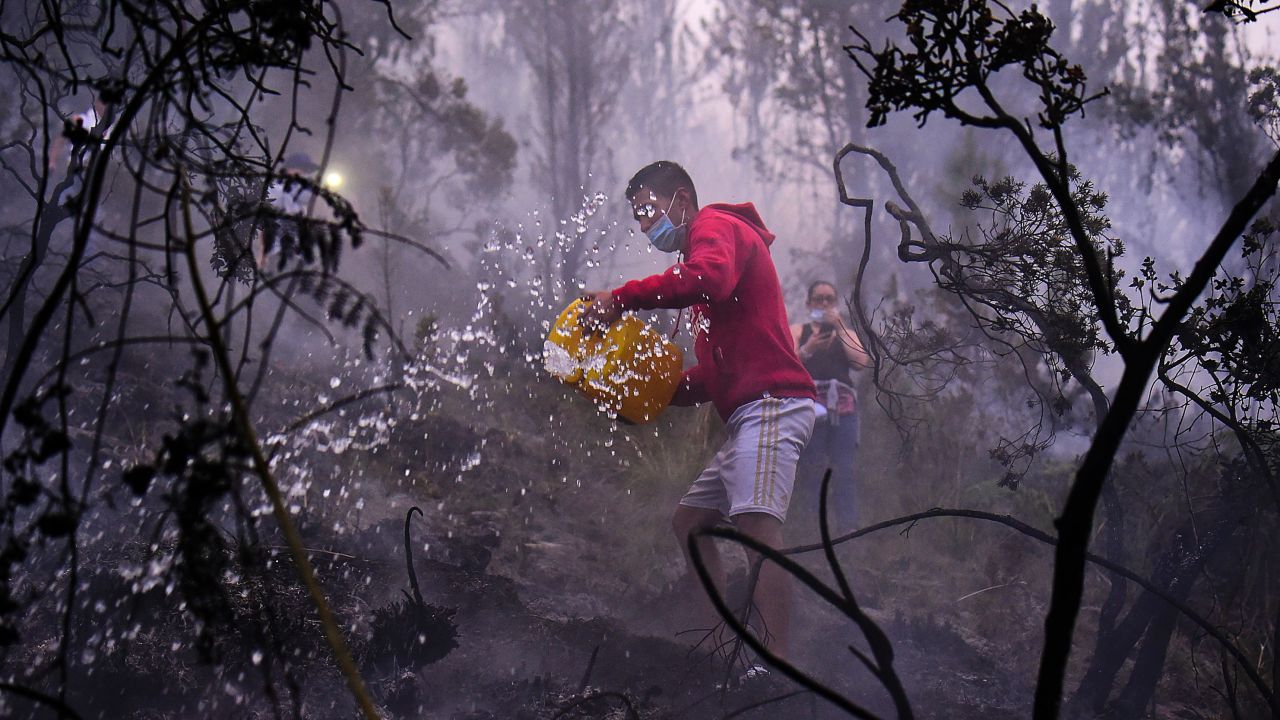 People try to put out a forest fire in Bogota, Colombia, on Tuesday, February 2.