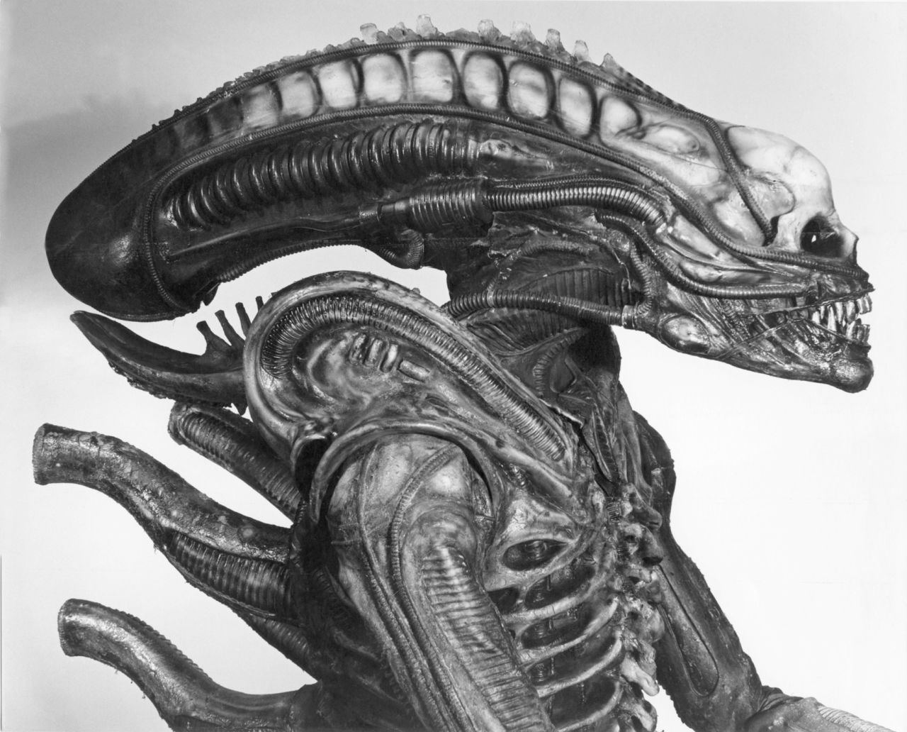 The alien's head, nearly a meter long, was at one point going to be filled with live maggots, says Allder. Whilst he was wearing it Badejo could barely see and had to take it off every 15 minutes to stop himself from overheating.