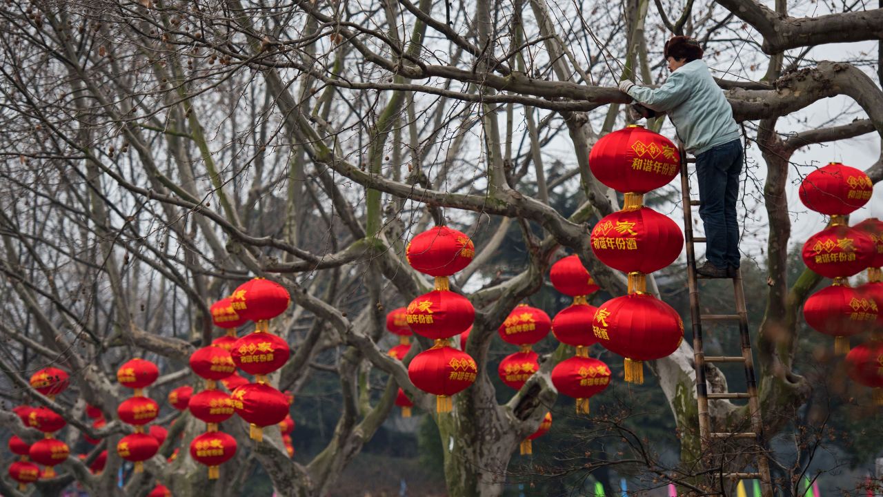 A worker decorates trees with red lanterns in a park in Changzhou, China, on February 4. 