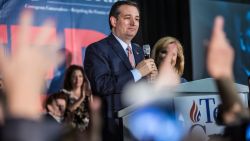 DES MOINES, IA - FEBRUARY 1: Republican presidential candidate Sen. Ted Cruz (R-TX) speaks at a caucus night rally on February 1, 2016 in Des Moines, Iowa. Cruz beat out frontrunner Donald Trump and other contenders to win the Iowa caucuses.  (Photo by Brendan Hoffman/Getty Images)