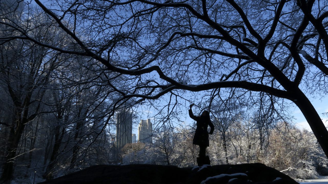 A woman takes a selfie in Central Park on Friday, February 5. <a href="http://www.cnn.com/2016/02/03/living/gallery/look-at-me-selfies-0203/index.html" target="_blank">See 26 selfies from last week</a>