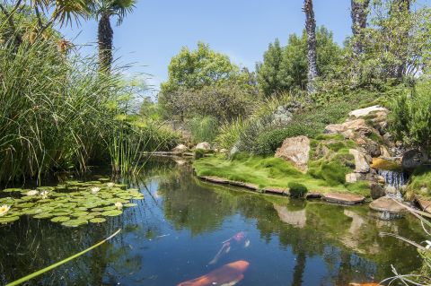 The 23-acre estate includes a fish pond ...