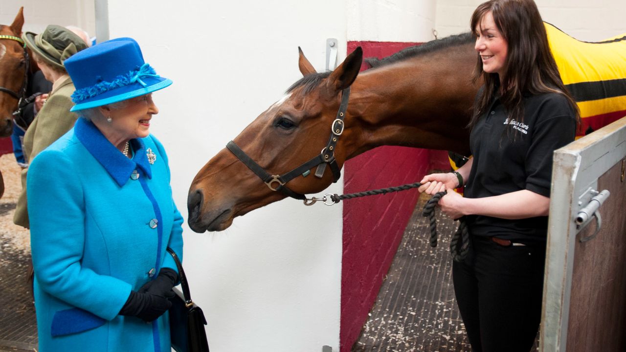 A smiling Queen Elizabeth II, known for her love of horses, grabs the attention of this equine.  