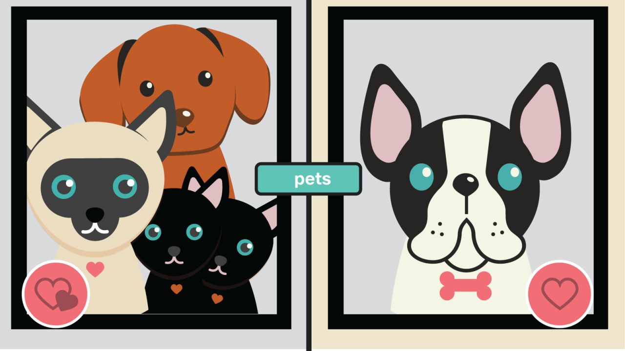 Families and couples have more pets, but singles are gaining on them, says the American Veterinary Medical Association. When you have a pet, you'll never eat alone again.