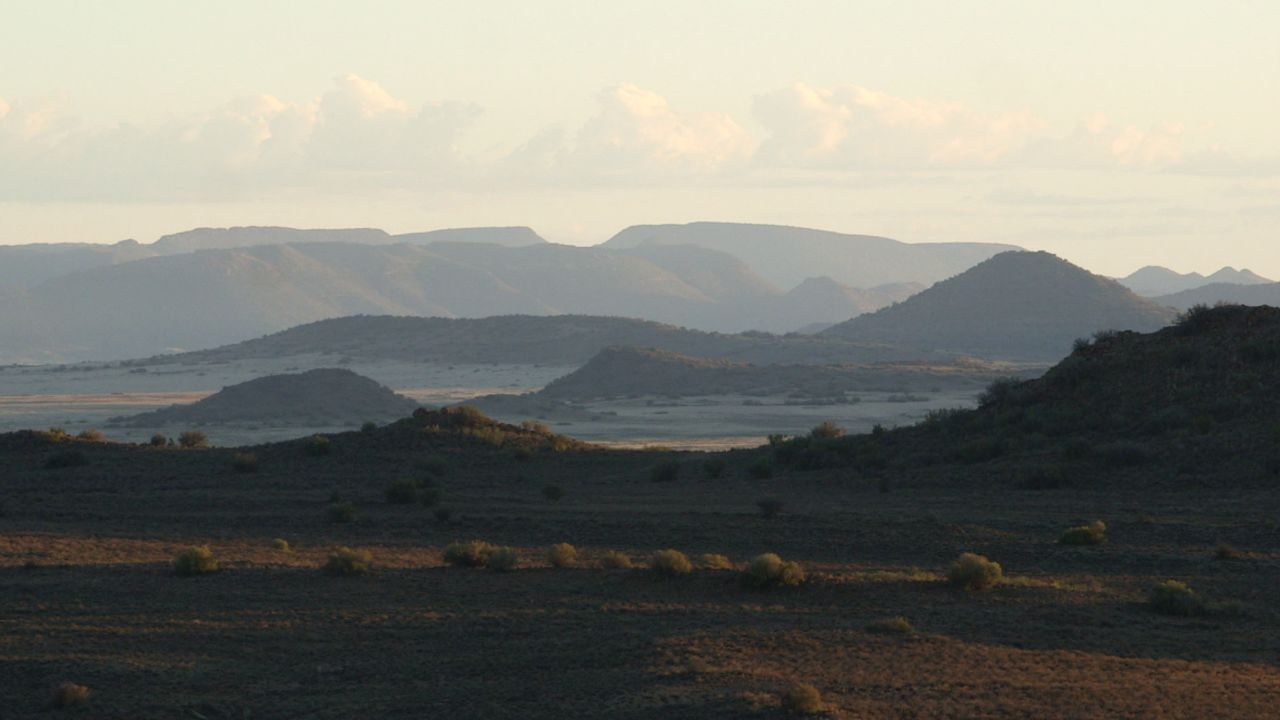 Player attributes the quality of his breeding stock to the semi-desert karoo environment in South Africa