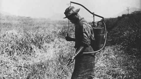 Mosquitoes and malaria were one of the biggest obstacles to building the Panama Canal. Here, a man sprays insecticides to kill mosquitoes around 1913. 