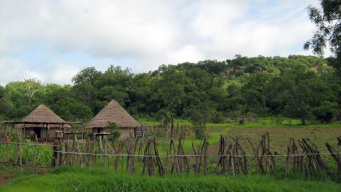 The verdant village of Ndebou, in southeastern Senegal. The warm climate of Senegal makes it an ideal breeding environment for mosquitoes, particularly in the wet season.