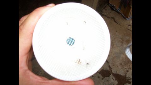 A trap at the end of electronic aspirator shows collected mosquitoes. According to the World Health Organization, there were about 627,000 deaths from malaria in 2012; 90% were in sub-Saharan Africa.