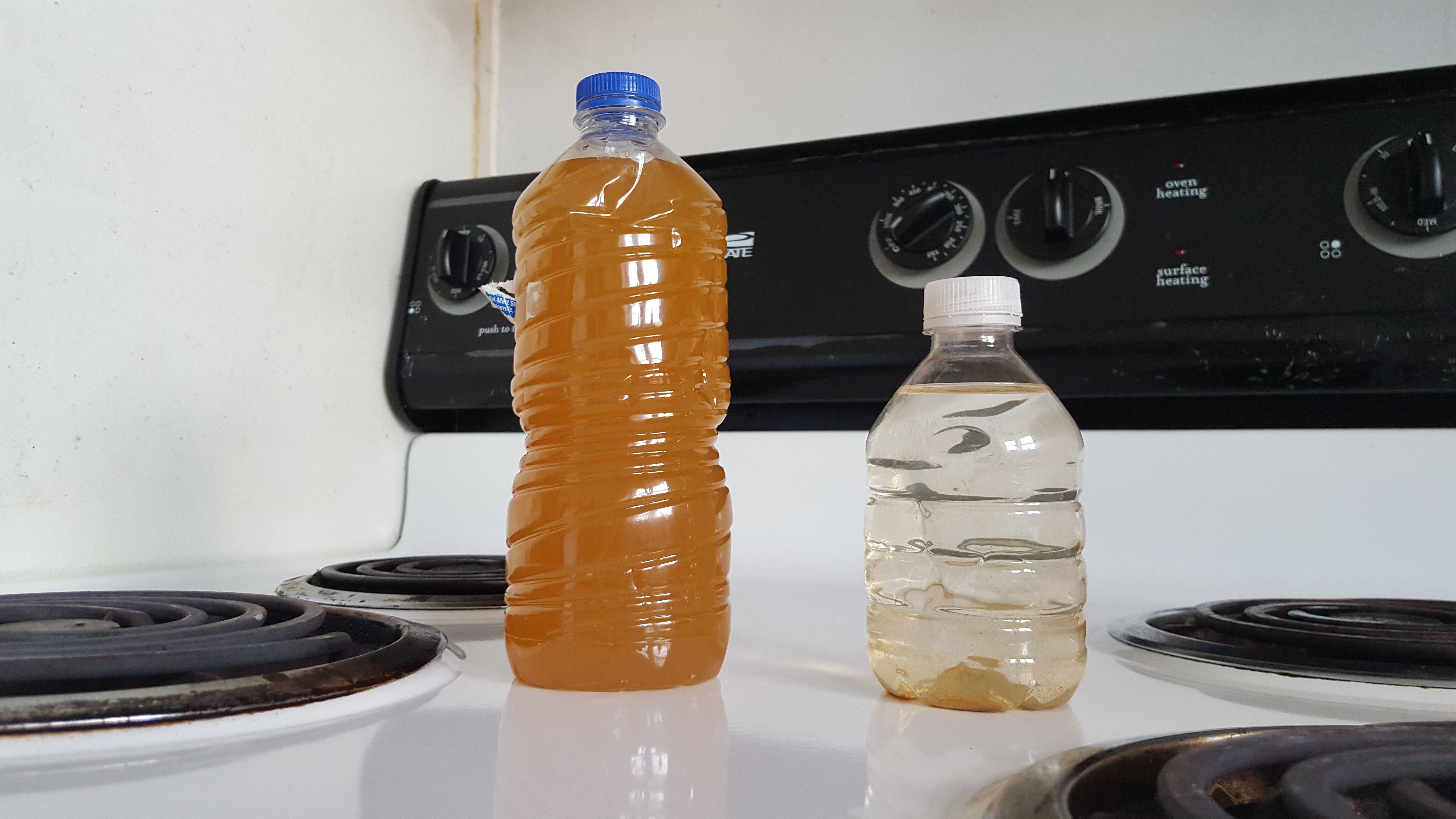 How disgusting is your water bottle, really?