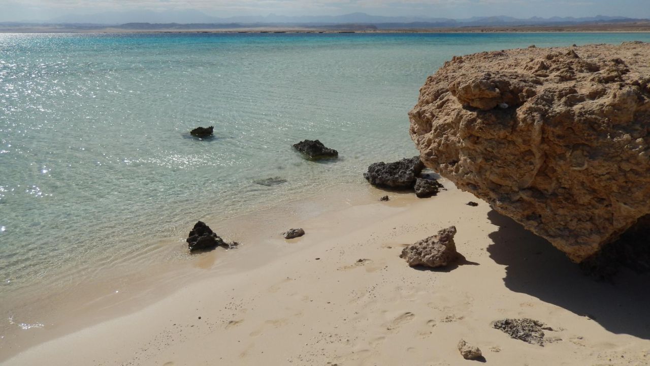 Lots of coral and marine life make Egypt's Sharm El Luli in Marsa Alam "exceptionally magical" according to one of 945 TripAdvisor reviewers to give the beach an "excellent" rating.