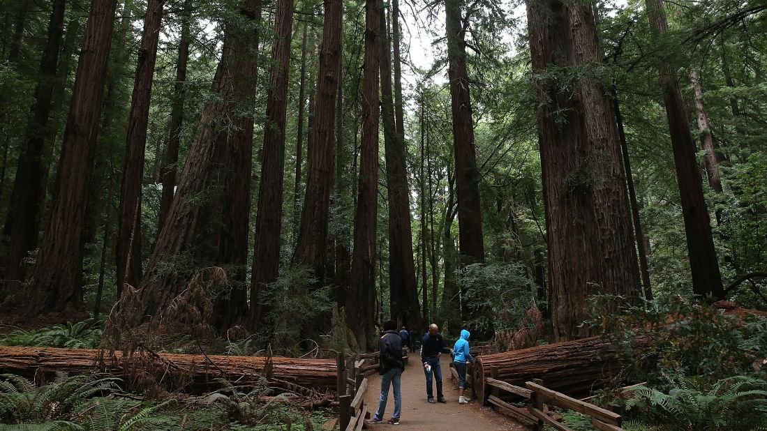 Golden Gate National Recreation Area, which encompasses 80,000 acres across three counties, had 14.8 million visitors last year. One of its <a href="http://www.nps.gov/goga/planyourvisit/index.htm" target="_blank" target="_blank">spectacular spots is Muir Woods</a>, shown here, where visitors can see coastal redwood trees. 