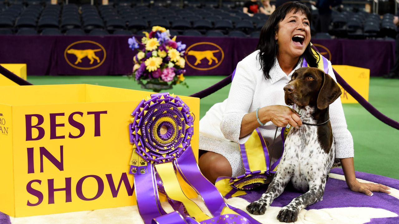 25 westminster dog show prize Full Guide (1/2024)