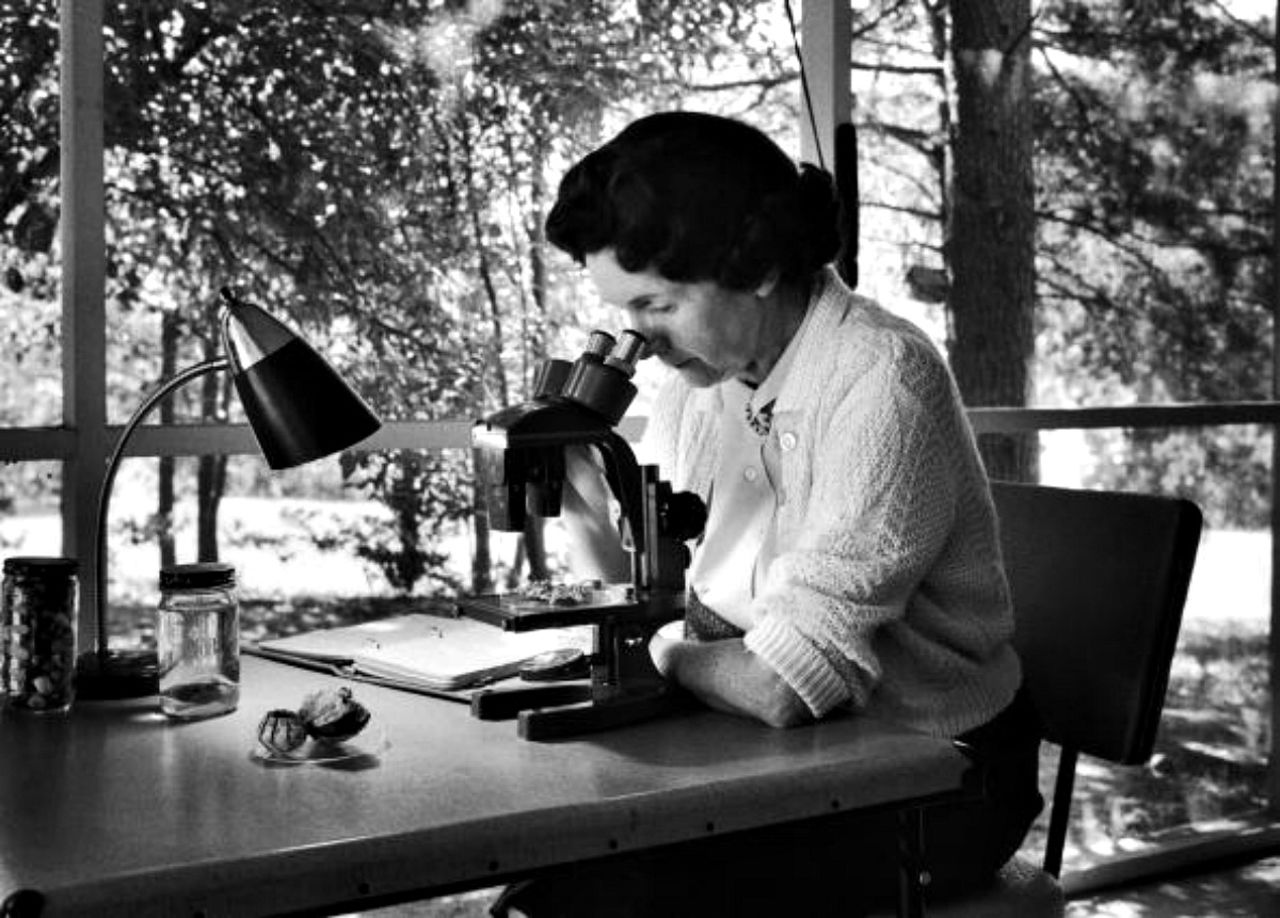 American marine biologist and conservationist Rachel Carson (1907-1964) was also an author. After WWII, she focused on warning the public about the long-term effects of misusing pesticides. Her book Silent Spring and other works challenged the practices of agricultural scientists and are credited with advancing the global environmental movement.
